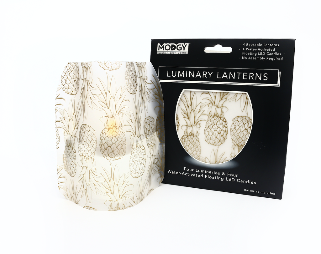 Lapina Luminoso Kit